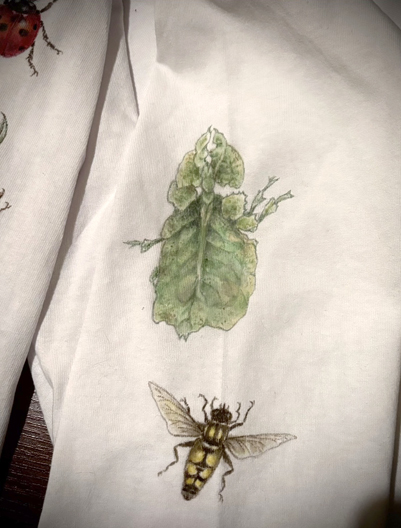 Tシャツの中の虫達