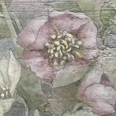 南先生の１dayレッスン